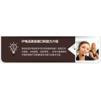 IP電話錄音能力和接口介紹
