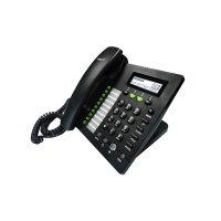 Wi-Fi無線電話機系列:多功能經濟型IP電話機IP622W