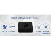 HT802新一代雙口網關全新上市