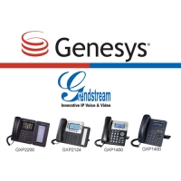 潮流網絡IP電話完成Genesys兼容性認證，合作空間更廣闊